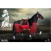 COO Model Aushiuguma Steed Standard Version 1:6