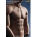 Phicen Limited Seamless Male Figure Body with Stainless Steel Skeleton