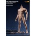 Phicen Limited Seamless Male Figure Body with Stainless Steel Skeleton