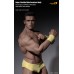 Phicen Limited Seamless Male Bodybuilder Figure with Stainless Steel Skeleton 1/6 Scale