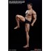 TBLeague Phicen Super Flexible 1:12 Male Seamless Body